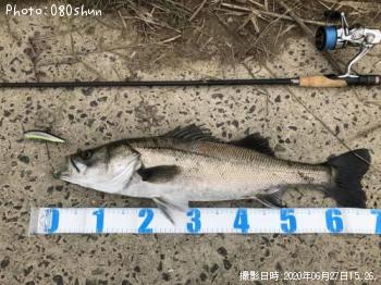 �����Х�