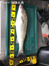 �����Х�