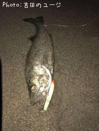 �����Х�