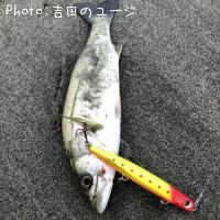 �����Х�