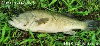 �֥�å��Х�