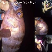 ��Х�ȥ���