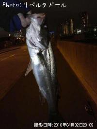 �����Х�