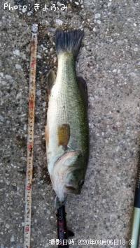 �֥�å��Х�