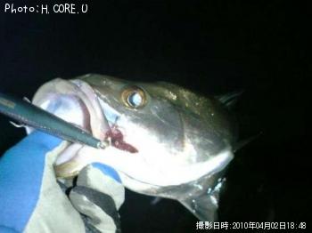 �����Х�