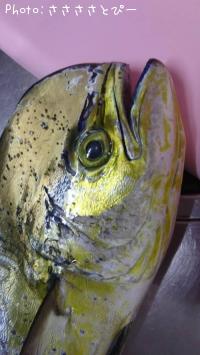 ¥·¥¤¥é¡õ¥µ¥Ð