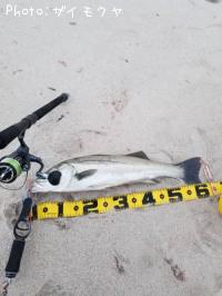 �����Х�