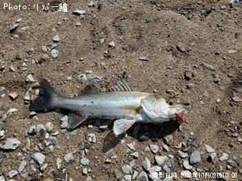 �����Х�