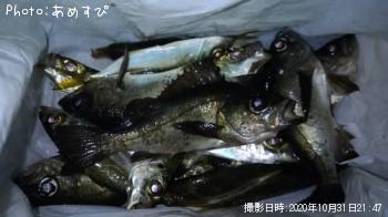 ¥¢¥¸¡¢¥á¥Ð¥ë