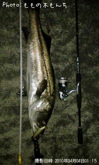 �����Х�