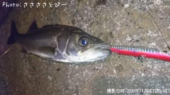 �����Х�