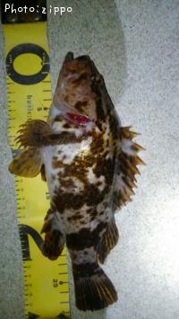 �����Υ���Х�