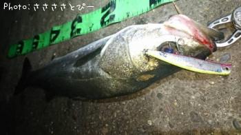 �����Х�