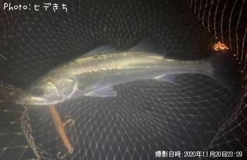 �����Х�