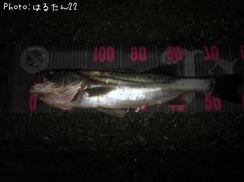 �����Х�