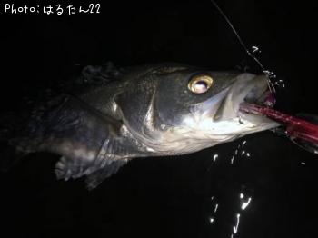 �����Х�