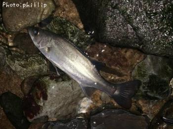 �����Х�