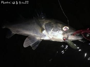 �����Х�