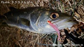 �����Х�