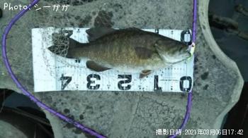 ¥¹¥â¡¼¥ë¥Þ¥¦¥¹