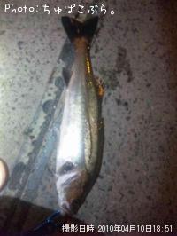 �����Х�