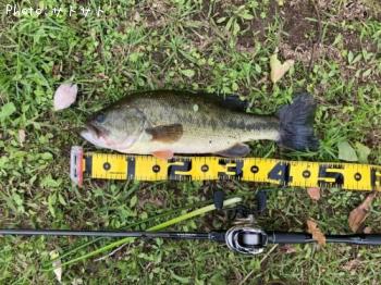 ¥Ö¥é¥Ã¥¯¥Ð¥¹