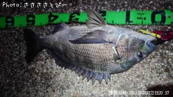 �������������󥴥����֥�