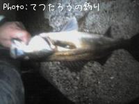 �����Х�