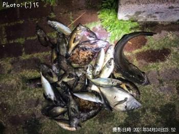 ¥¢¥¸¡¢¤½¤Î¾