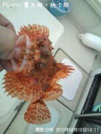 ���˥�����