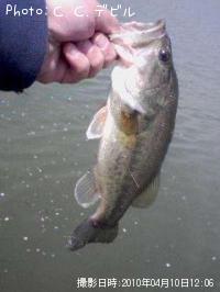 �֥�å��Х�