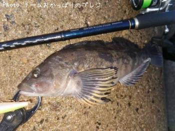 �����ʥ�