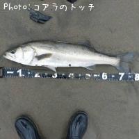 �����Х�