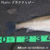 �����Х�