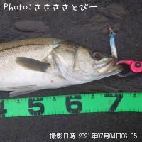 �����Х�