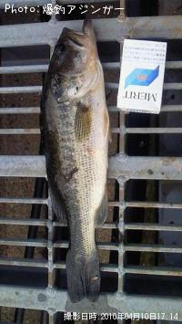 �֥�å��Х�