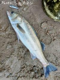 �����Х�