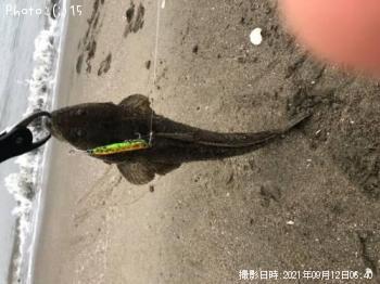 �ޥ��������ߥإ�