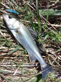 �����Х�