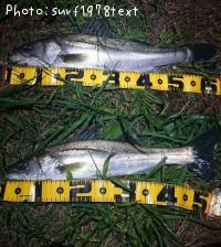 �����Х�