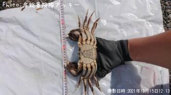 �⥯������