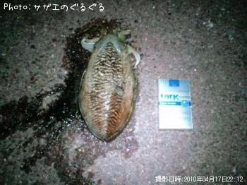 ¥³¥¦¥¤¥«