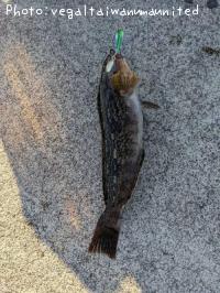 �����ʥ�