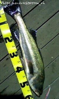 �����Х�