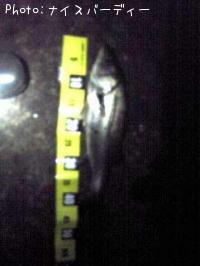 �����Х�