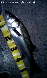 �����Х�