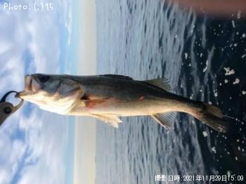 �����Х�