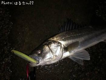 �����Х�