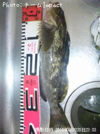 �����ʥ�