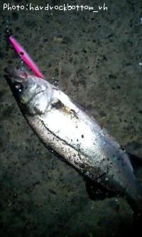 �����Х�